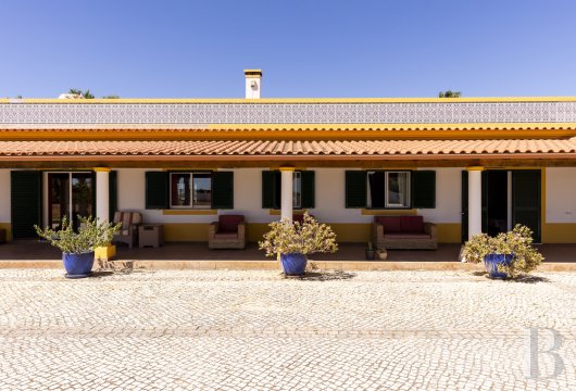 Near Guia, in the hinterland of Albufeira, a single-storey house with a thousand olive trees and crops.