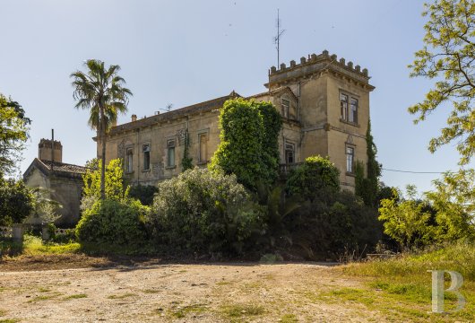 In Sousel, in the Alentejo region, a manor house with a tower and about 4 hectares of vineyards in production