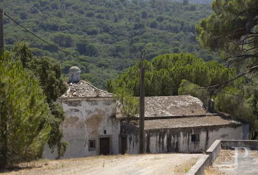 In the Arrábida Natural Park, an 87-hectare estate with two houses, a chapel, and a ruin
