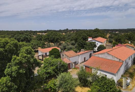 In the Alentejo, a rural farmhouse on the outskirts of Marvão, nestled among centuries-old olive trees and the ...