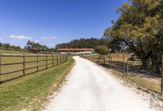 In Sintra, a 4-hectare equestrian estate to be renovated into a residence or tourism project