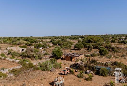 Just a few minutes from Ciutadella, a rural estate of about 5 hectares, featuring traditional Menorcan farm buildings